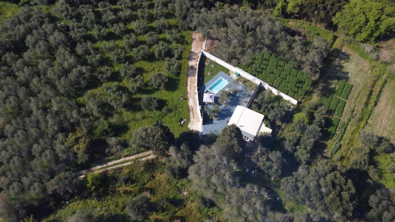 Villa Gardiki For2 Halikounas Ngoại thất bức ảnh